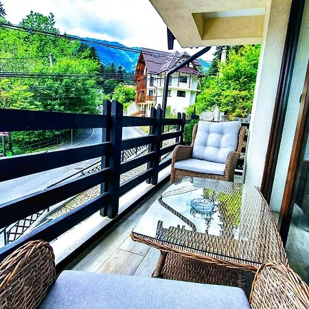 Guest house Casa Varful Cu Dor