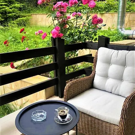 Casa Varful Cu Dor Гостевой дом