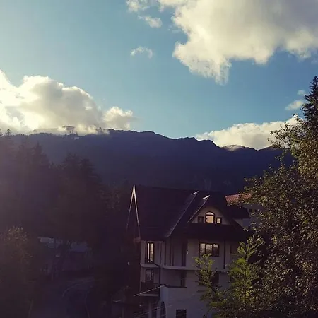 Гостевой дом Casa Varful Cu Dor